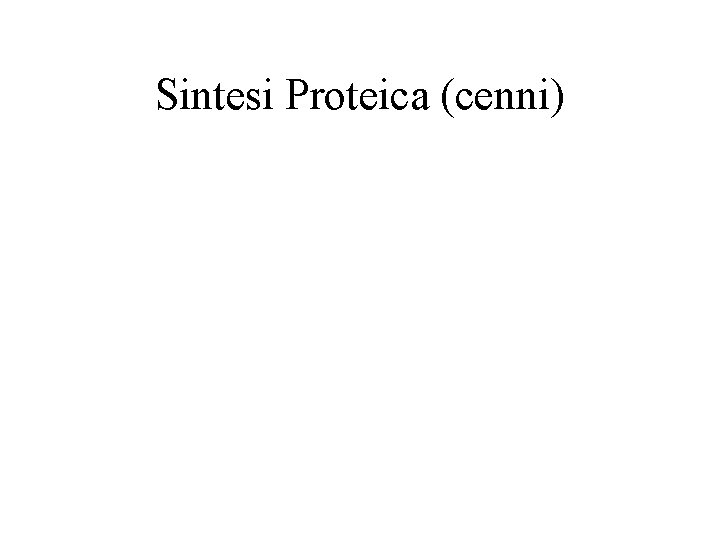Sintesi Proteica (cenni) Sintesi Proteica (cenni)