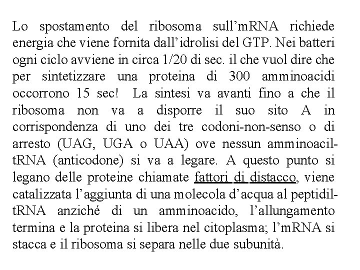 Lo spostamento del ribosoma sull’m. RNA richiede energia che viene fornita dall’idrolisi del GTP. Lo spostamento del ribosoma sull’m. RNA richiede energia che viene fornita dall’idrolisi del GTP.