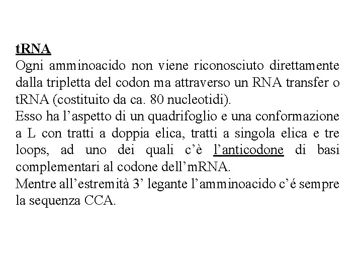 t. RNA Ogni amminoacido non viene riconosciuto direttamente dalla tripletta del codon ma attraverso t. RNA Ogni amminoacido non viene riconosciuto direttamente dalla tripletta del codon ma attraverso