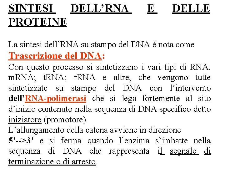 SINTESI DELL’RNA PROTEINE E DELLE La sintesi dell’RNA su stampo del DNA é nota SINTESI DELL’RNA PROTEINE E DELLE La sintesi dell’RNA su stampo del DNA é nota