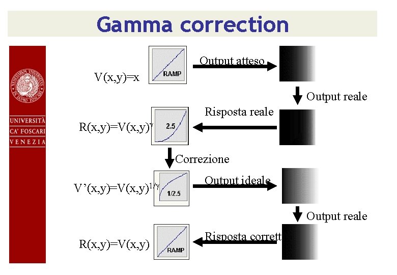 Gamma correction Output atteso V(x, y)=x Output reale Risposta reale R(x, y)=V(x, y)g Correzione