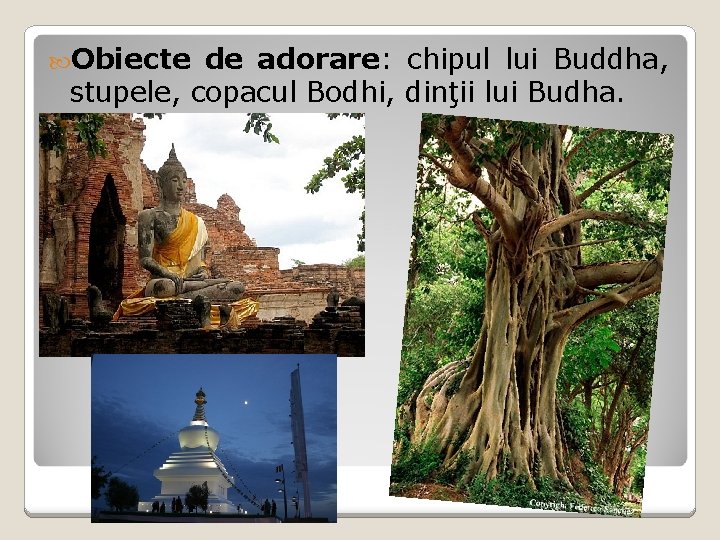  Obiecte de adorare: chipul lui Buddha, stupele, copacul Bodhi, dinţii lui Budha. 