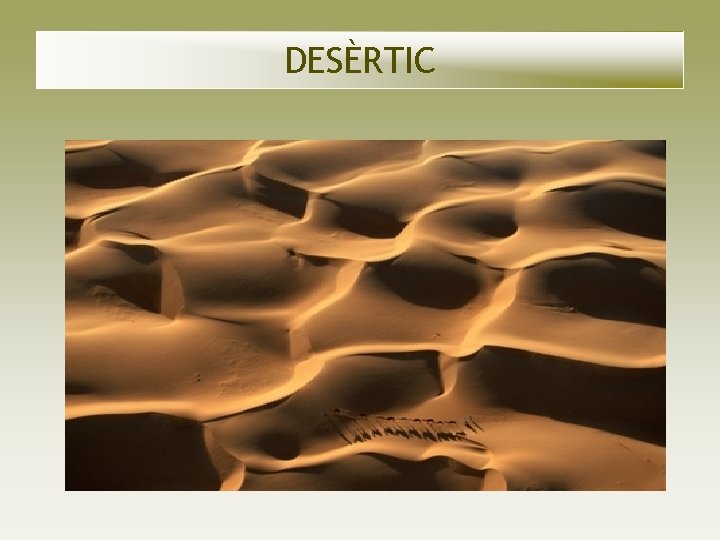 DESÈRTIC DESÈRTIC