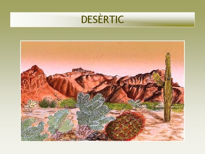 DESÈRTIC DESÈRTIC