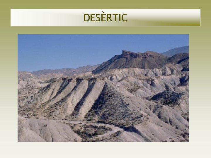 DESÈRTIC DESÈRTIC