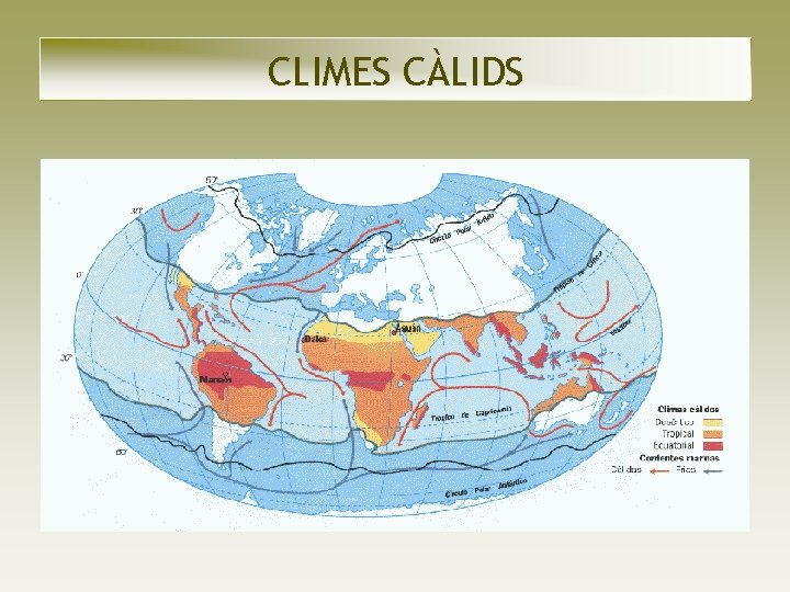 CLIMES CÀLIDS CLIMES CÀLIDS