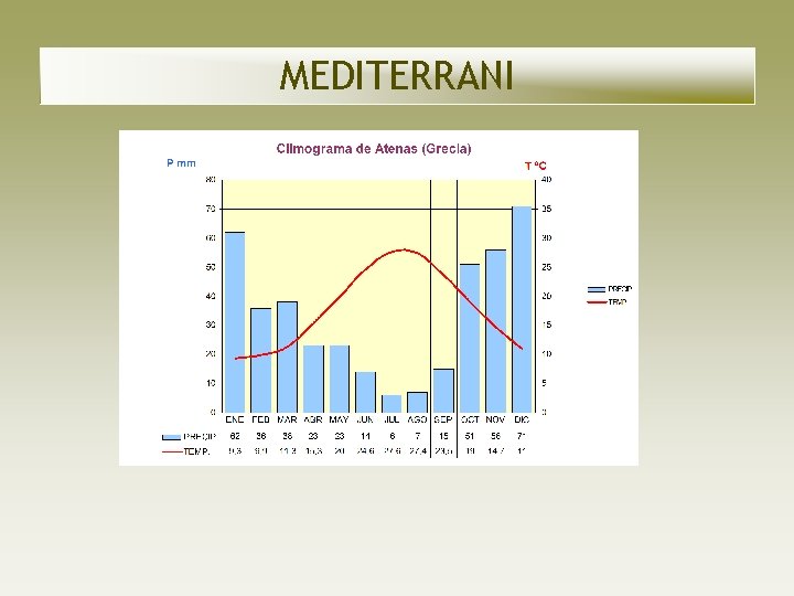 MEDITERRANI MEDITERRANI