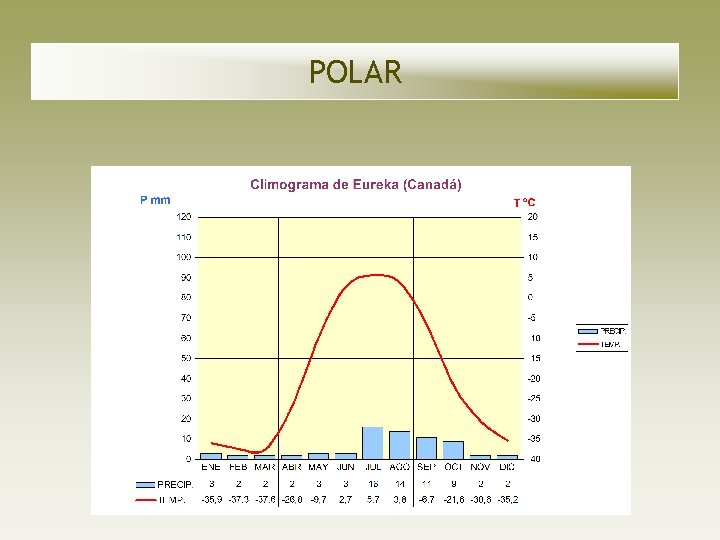 POLAR POLAR