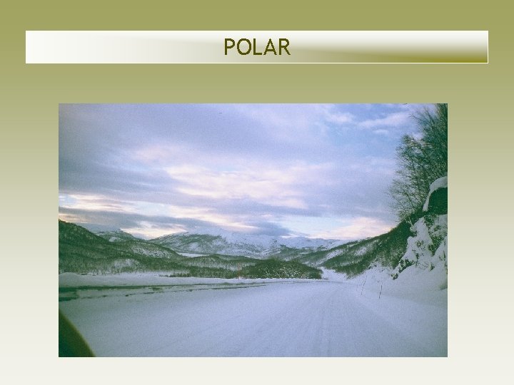 POLAR POLAR