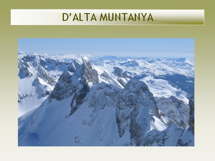 D’ALTA MUNTANYA D’ALTA MUNTANYA