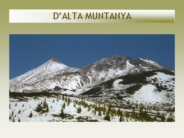 D’ALTA MUNTANYA D’ALTA MUNTANYA
