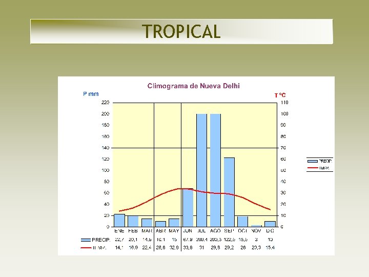 TROPICAL TROPICAL