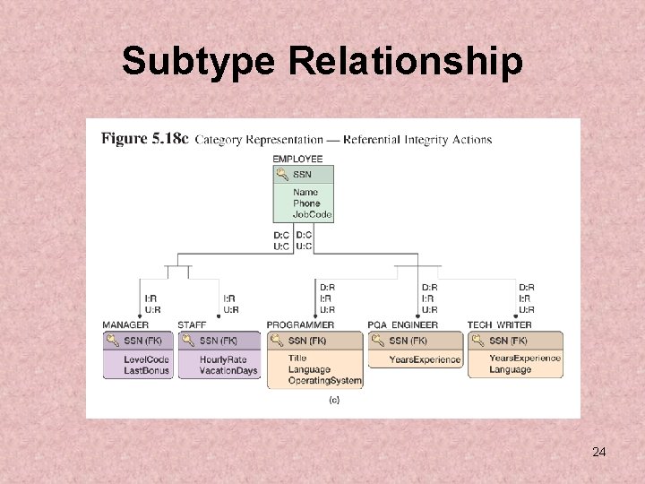 Subtype Relationship 24 