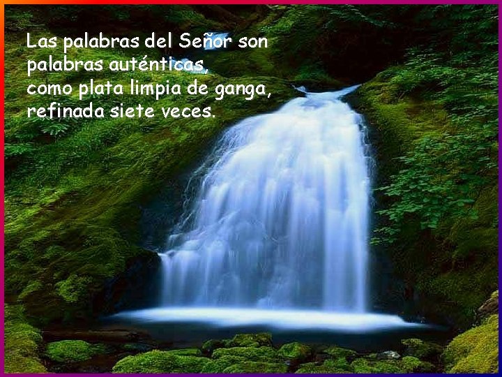 Las palabras del Señor son palabras auténticas, como plata limpia de ganga, refinada siete