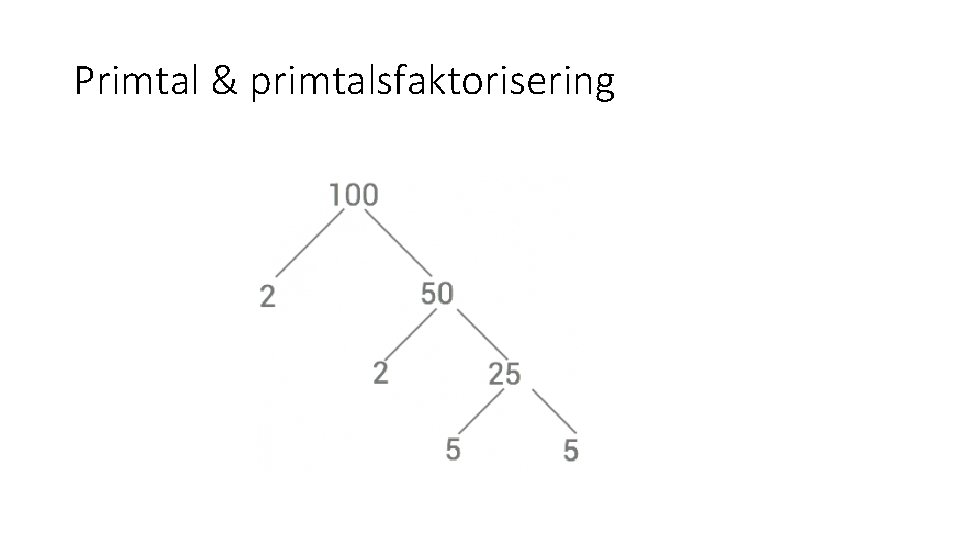 Primtal & primtalsfaktorisering 
