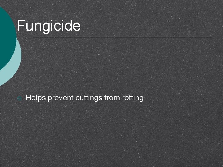 Fungicide ¡ Helps prevent cuttings from rotting 