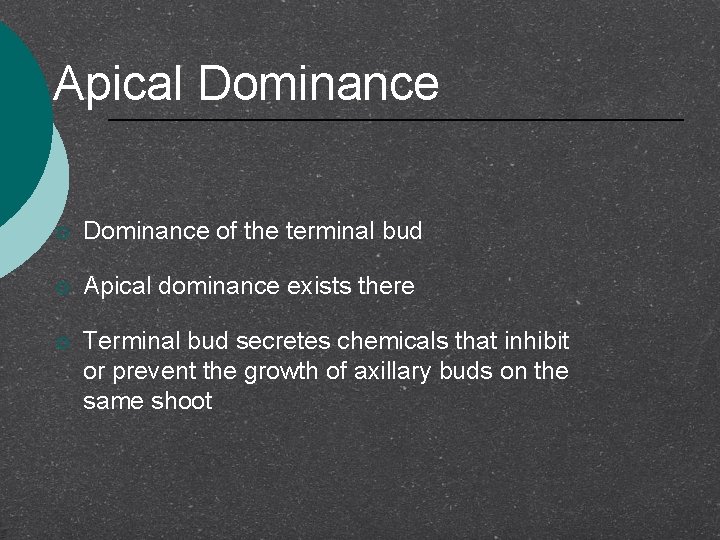 Apical Dominance ¡ Dominance of the terminal bud ¡ Apical dominance exists there ¡