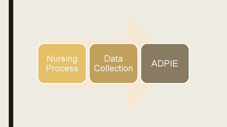Nursing Process Data Collection ADPIE 