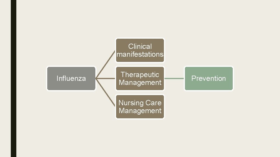 Clinical manifestations Influenza Therapeutic Management Nursing Care Management Prevention 