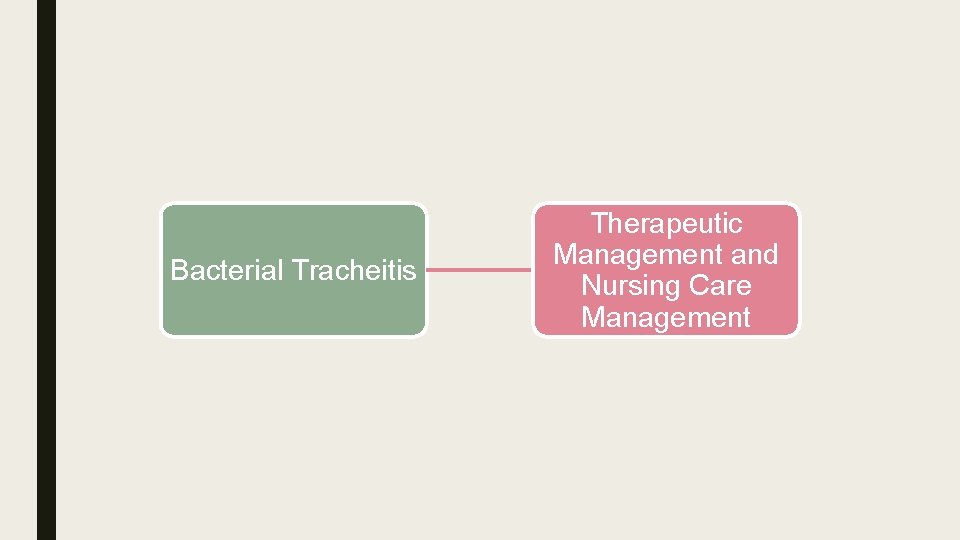 Bacterial Tracheitis Therapeutic Management and Nursing Care Management 