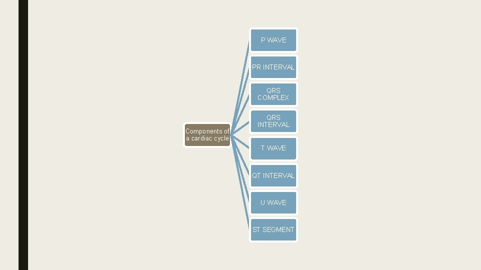 P WAVE PR INTERVAL QRS COMPLEX Components of a cardiac cycle QRS INTERVAL T