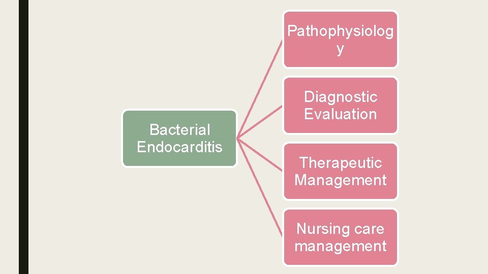 Pathophysiolog y Bacterial Endocarditis Diagnostic Evaluation Therapeutic Management Nursing care management 