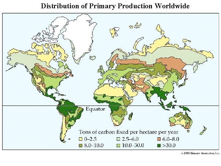 Distribution of Primary Production Worldwide Figure 56. 5 