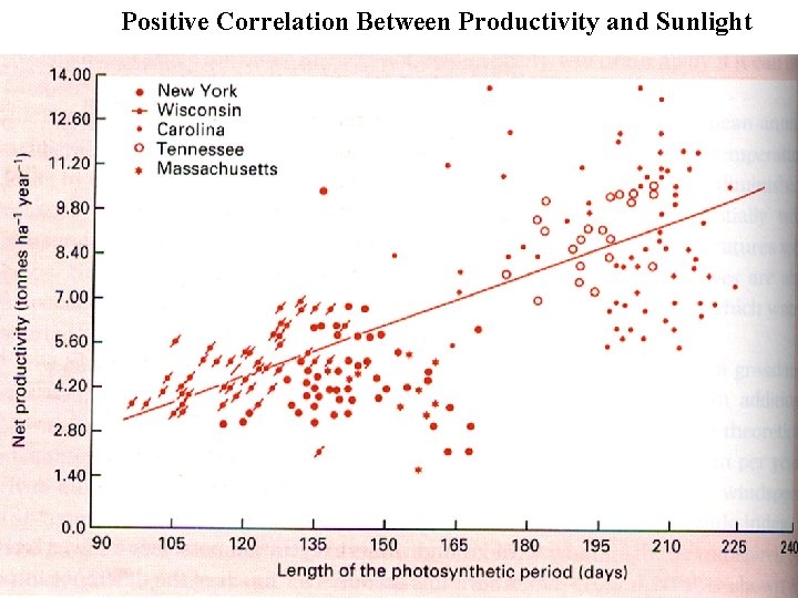 Positive Correlation Between Productivity and Sunlight Positive Correlation Between Productivity and Sunlight