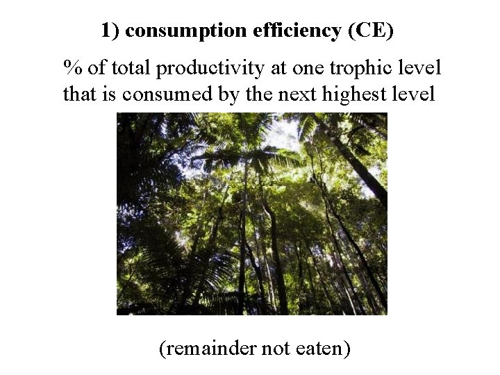 1) consumption efficiency (CE) % of total productivity at one trophic level that is 1) consumption efficiency (CE) % of total productivity at one trophic level that is