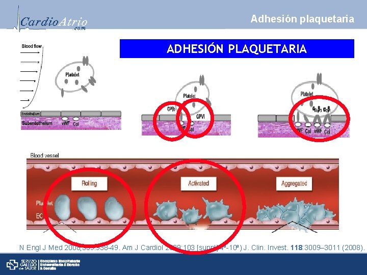 Adhesión plaquetaria ADHESIÓN PLAQUETARIA N Engl J Med 2008; 359: 938 -49. Am J