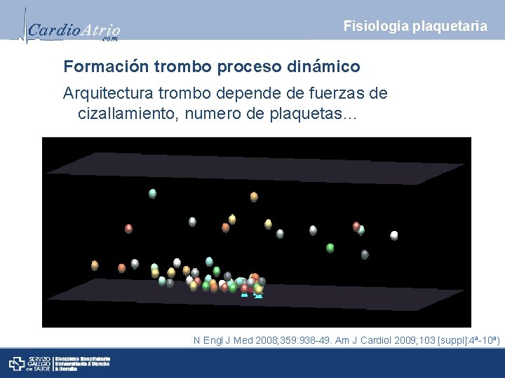 Fisiología plaquetaria Formación trombo proceso dinámico Arquitectura trombo depende de fuerzas de cizallamiento, numero