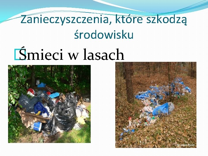 Zanieczyszczenia, które szkodzą środowisku � Śmieci w lasach 