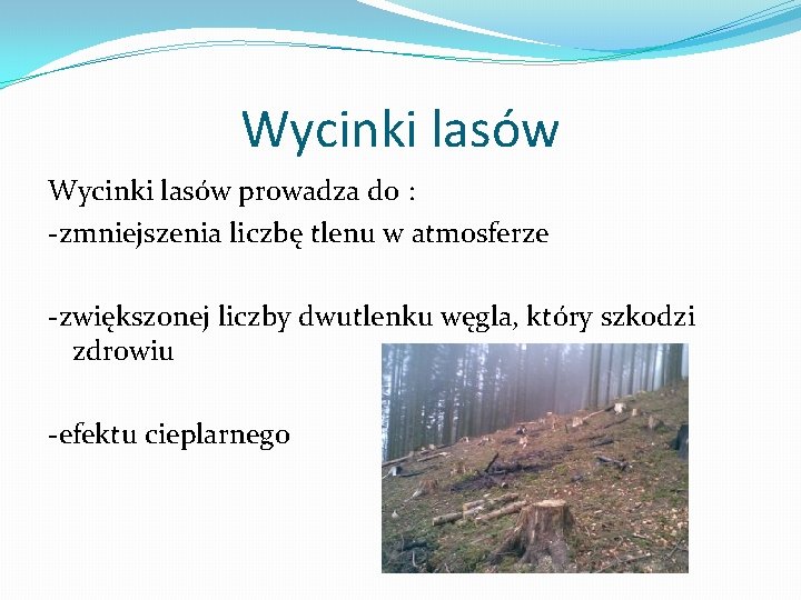 Wycinki lasów prowadza do : -zmniejszenia liczbę tlenu w atmosferze -zwiększonej liczby dwutlenku węgla,