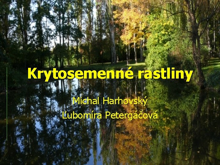 Krytosemenné rastliny Michal Harhovský Ľubomíra Petergáčová 