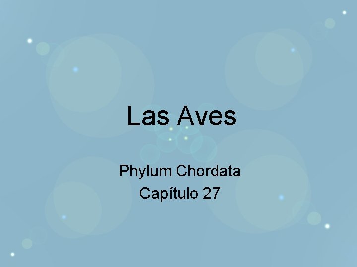 Las Aves Phylum Chordata Capítulo 27 