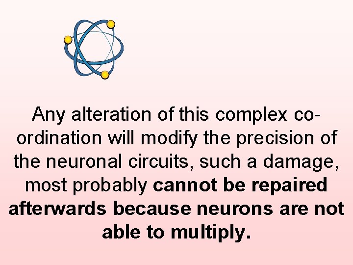 Any alteration of this complex coordination will modify the precision of the neuronal circuits,