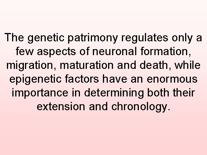 The genetic patrimony regulates only a few aspects of neuronal formation, migration, maturation and