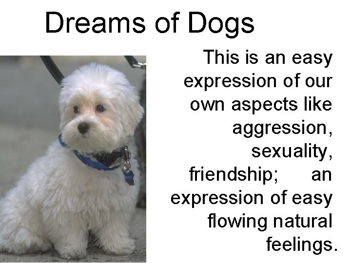 Dreams of Dogs This is an easy expression of our own aspects like aggression,