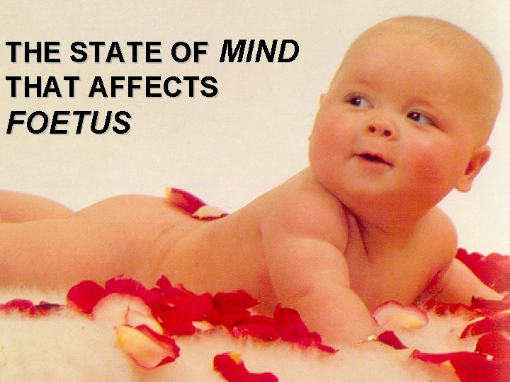 THE STATE OF MIND THAT AFFECTS FOETUS 