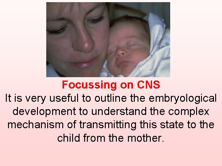 Focussing on CNS It is very useful to outline the embryological development to understand