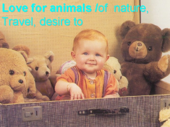 Love for animals /of nature, Travel, desire to 