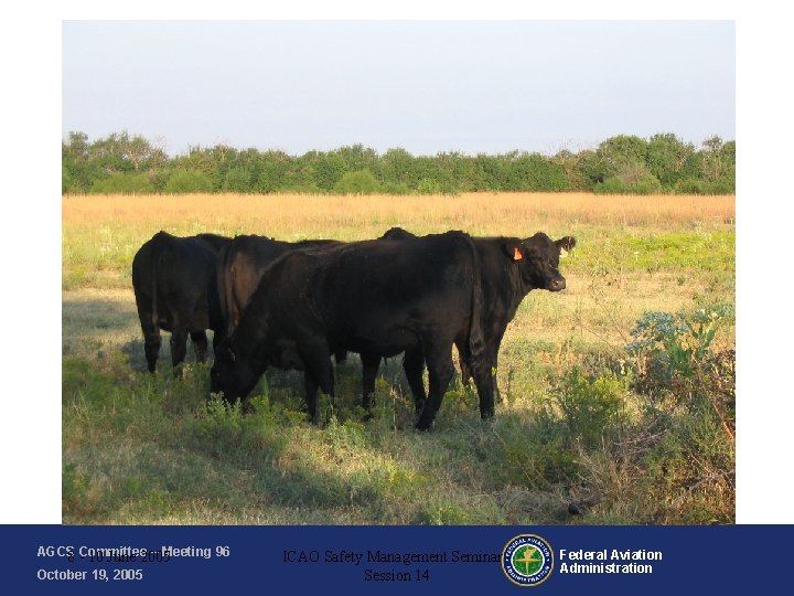 AGCS – Meeting 96 8 -Committee 10 June 2005 October 19, 2005 ICAO Safety