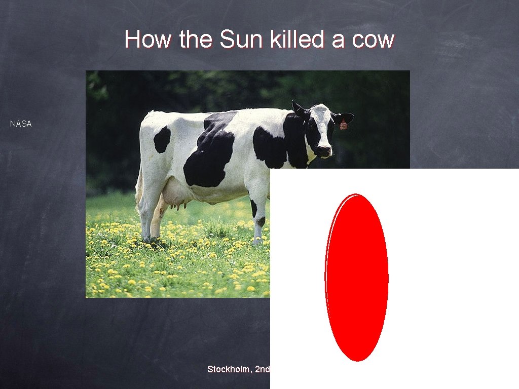 How the Sun killed a cow NASA Stockholm, 2 nd Feb 2007 