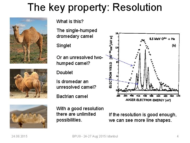 The key property: Resolution What is this? The single-humped dromedary camel Singlet Or an