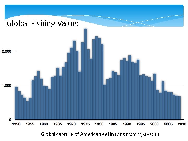 Global Fishing Value: Global capture of American eel in tons from 1950 -2010 