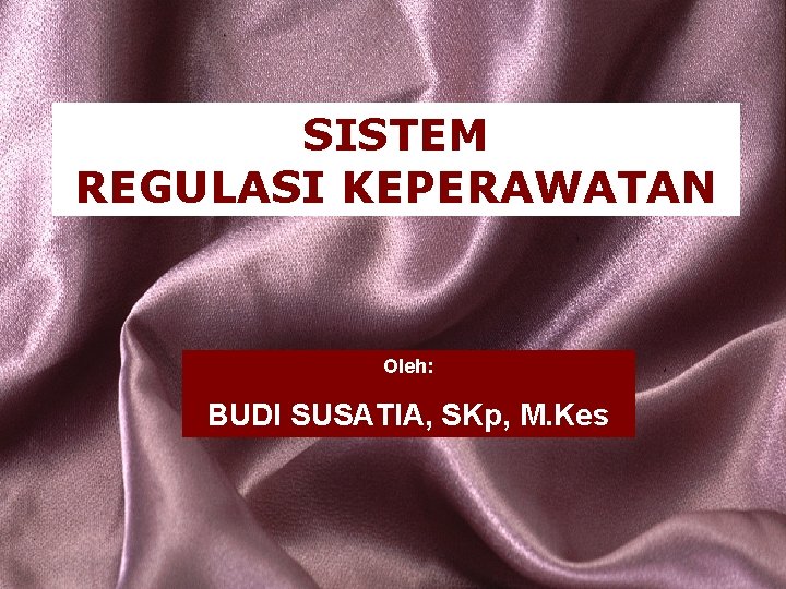 SISTEM REGULASI KEPERAWATAN Oleh: BUDI SUSATIA, SKp, M. Kes 