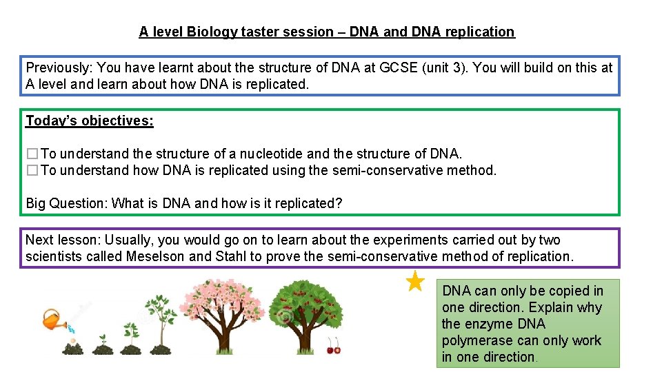 A level Biology taster session – DNA and DNA replication Previously: You have learnt