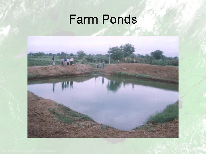 Farm Ponds 