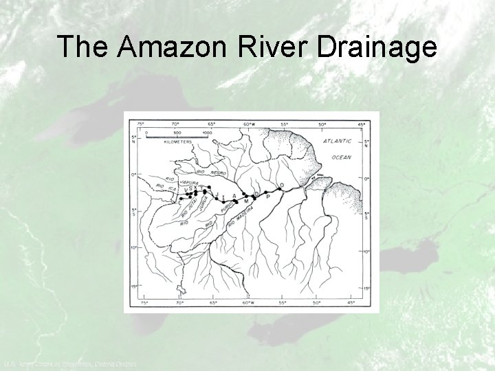 The Amazon River Drainage 