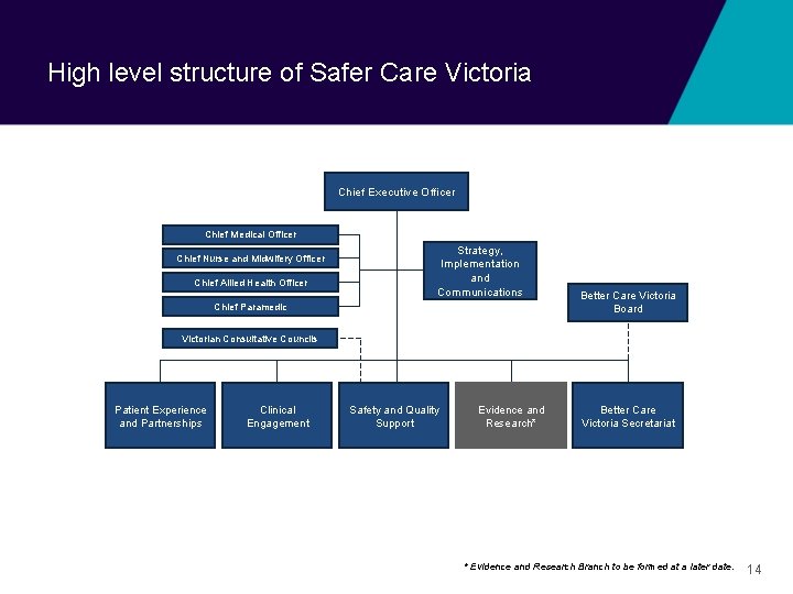 High level structure of Safer Care Victoria Chief Executive Officer Chief Medical Officer Chief